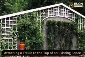 Blog 15 Attach a Trellis